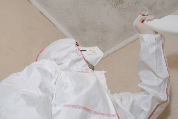 Best Home Mold Removal  in Oakwood, GA