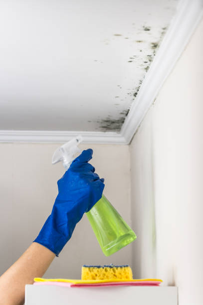 Best Residential Mold Removal  in Oakwood, GA